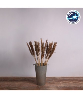 GloboStar® BROOMCORN 36555 Αποξηραμένο Φυτό Γλυκό Σόργο - Μπουκέτο Διακοσμητικών Κλαδιών Καφέ Υ100cm - Σετ 20 τμχ